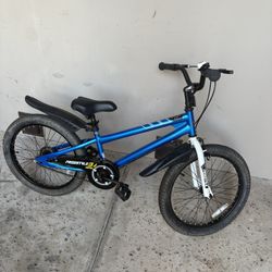 Royal Baby 20 inch (Boys or Girls) Bicycle- Ready to Ride!
