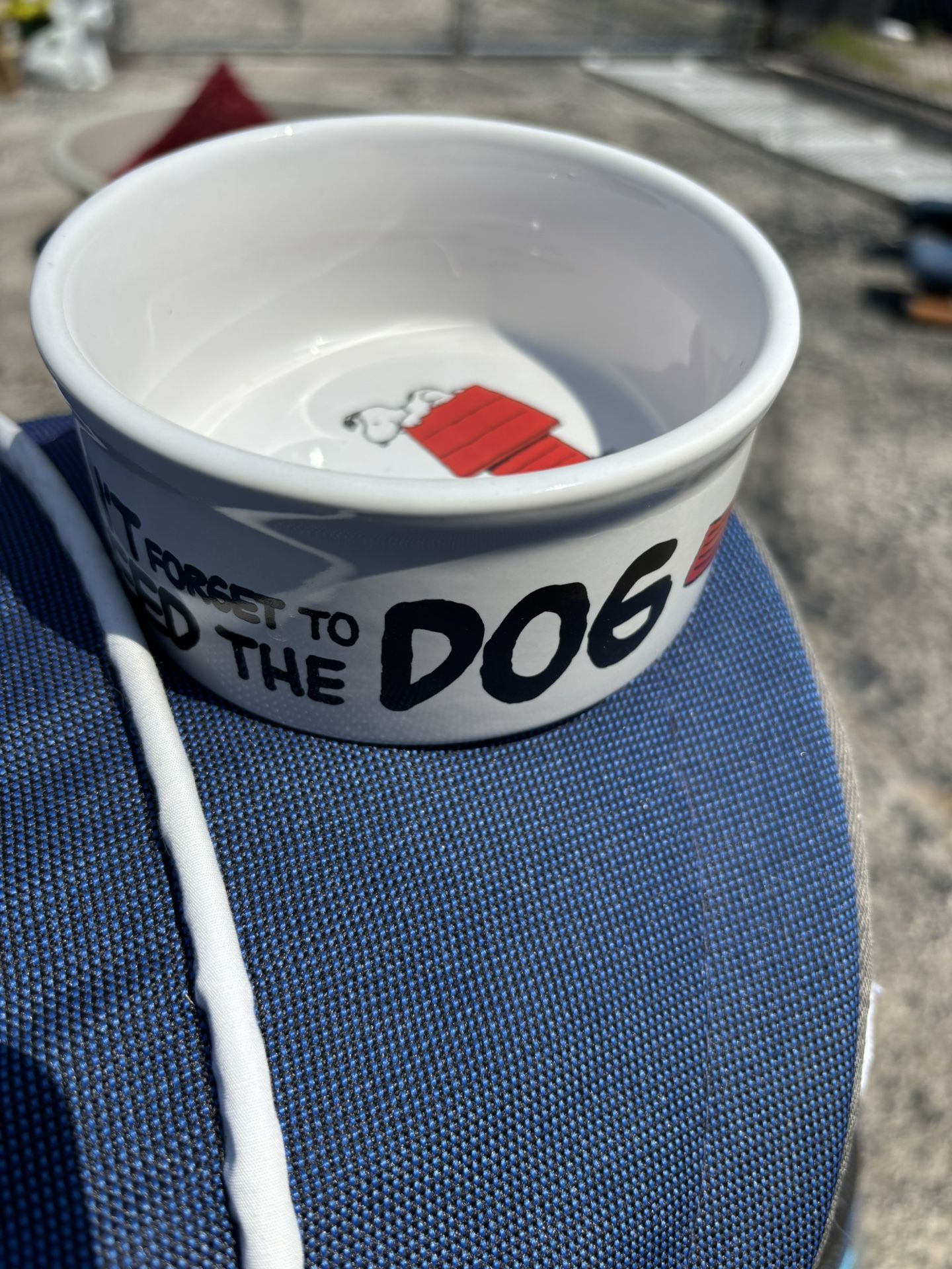 Snoopy. Peanuts ceramic dog bowl