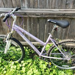 Road master Bike CHEAP!!