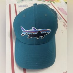 Patagonia Fitz Trout Trucker Hat