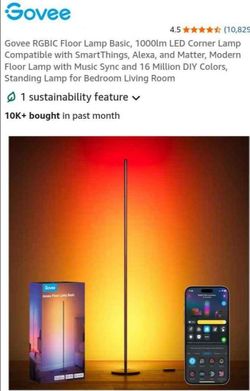 NEW GOVEE RGBIC FLOOR LAMP BASIC