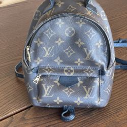 Louis Vuitton -Palm Springs Mini