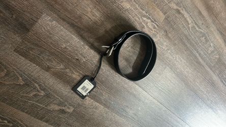 Filson Belt Women’s Black