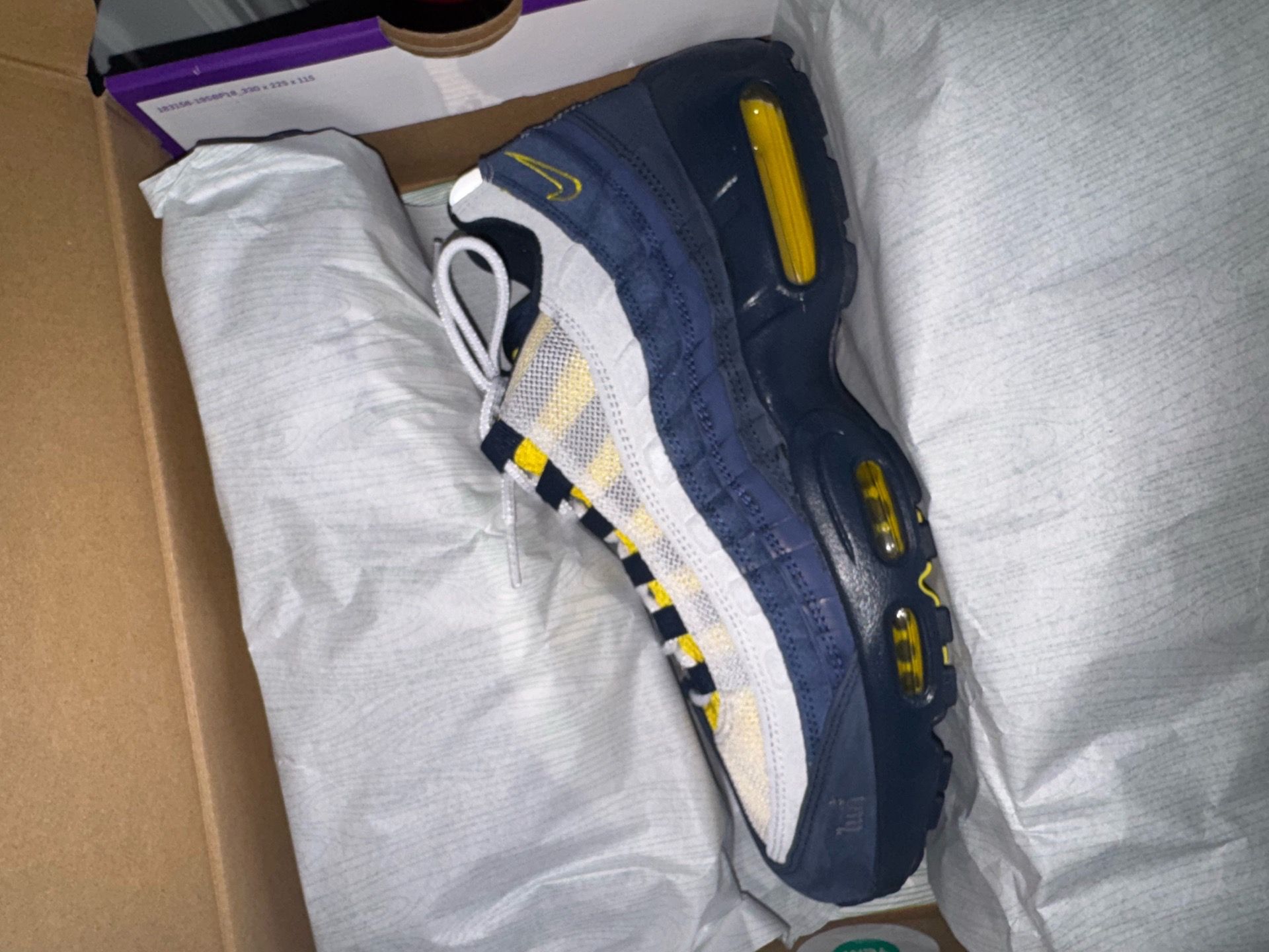 Eric Koston Nike sb air max 95 size 10.5