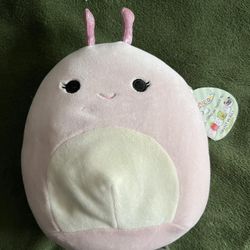 Silvina the Tie Dye Snail 7” Squishmallow NWT