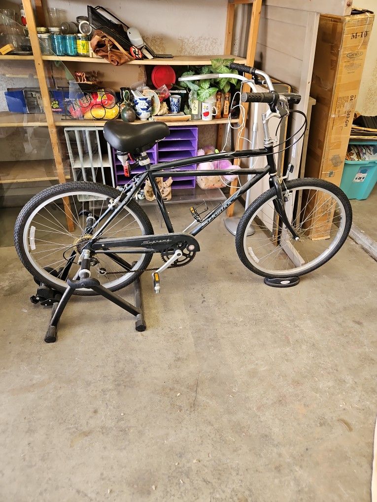 Schwinn Bike W/ Exercise Trainer
