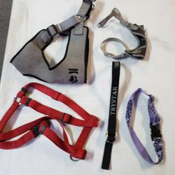 Dog Collars, For Small And Big Dogs $10.00