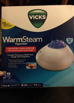 Warm steam vaporizer