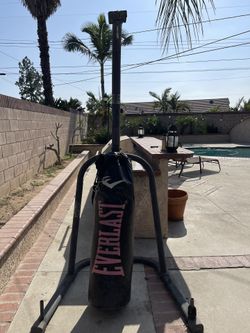 Everlast Punching Bag + Nordictrack Elliptical