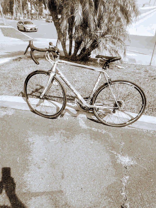 Ridley Bike