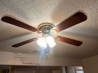 Ceiling Fan