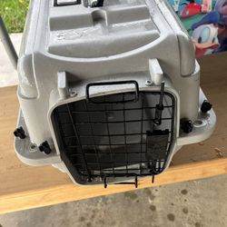 Pet Kennel