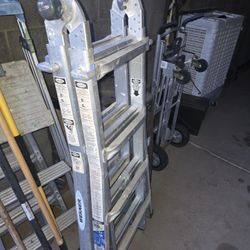 Werner Multi-Position Ladder