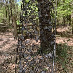 Decorative Iron Door