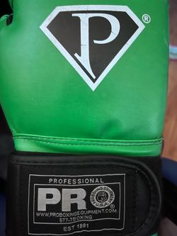 Pro boxing gloves