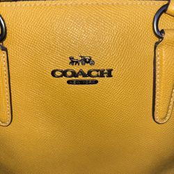 Bolsa Coach Originally 