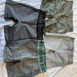 Gym shark Shorts 