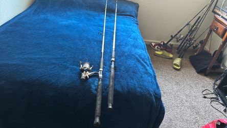 Fishing poles Berkeley & ugly stick with real with braid ready to use