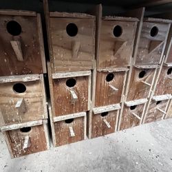 Lovebirds Nest Boxes 