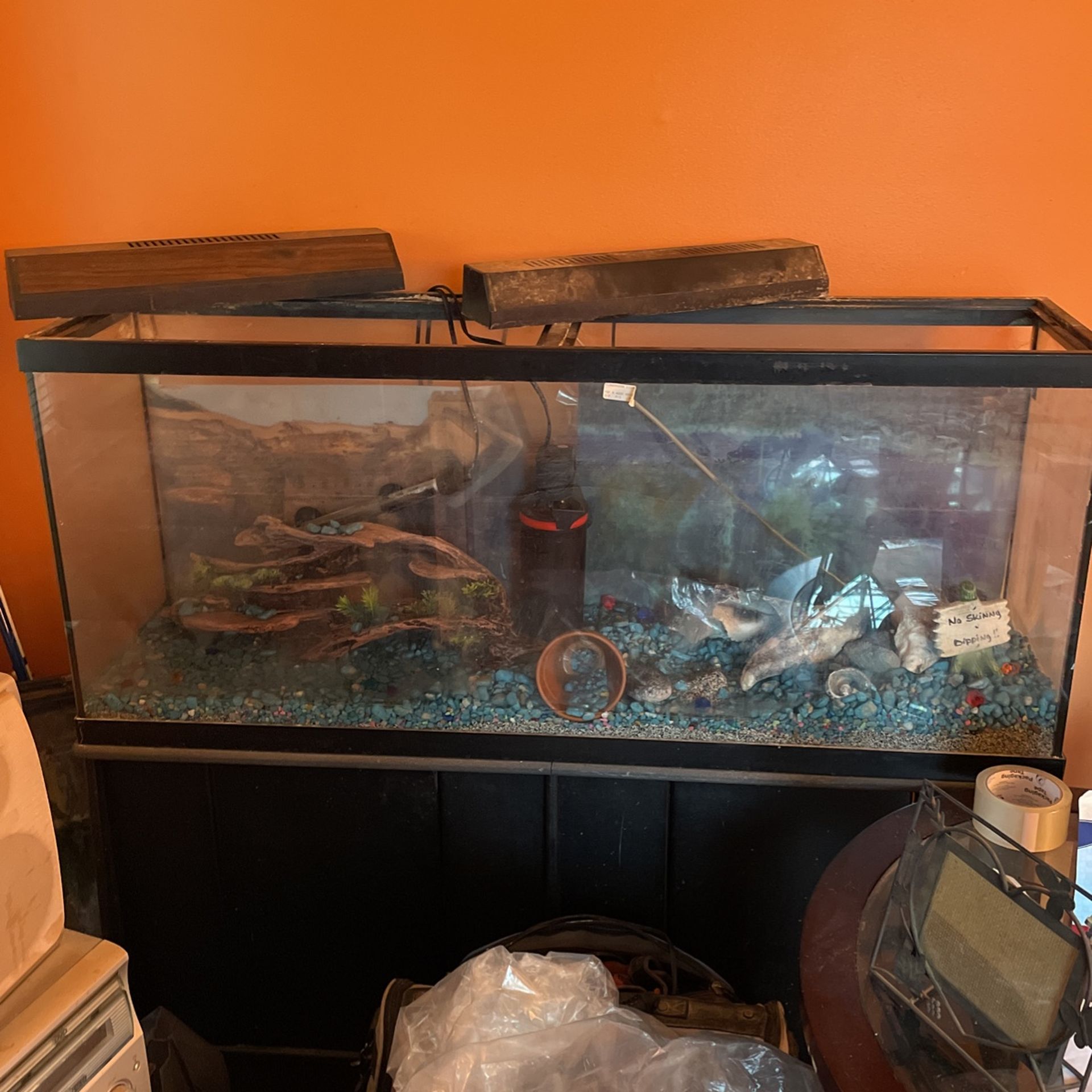 55 Gallon Fish Tank