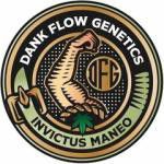 Dank Flow Genetics - Salami Glue F2 V1 & V2