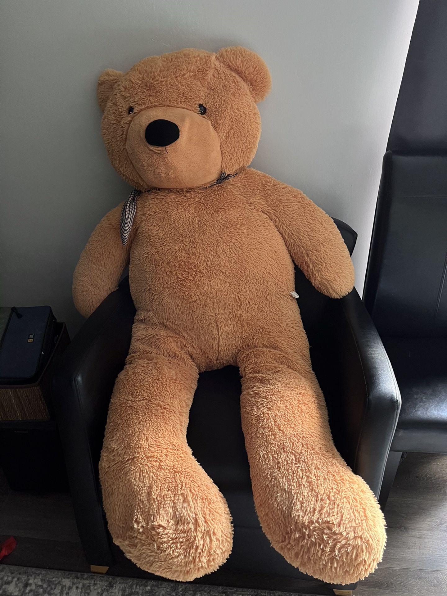 Large Teddy Bear 