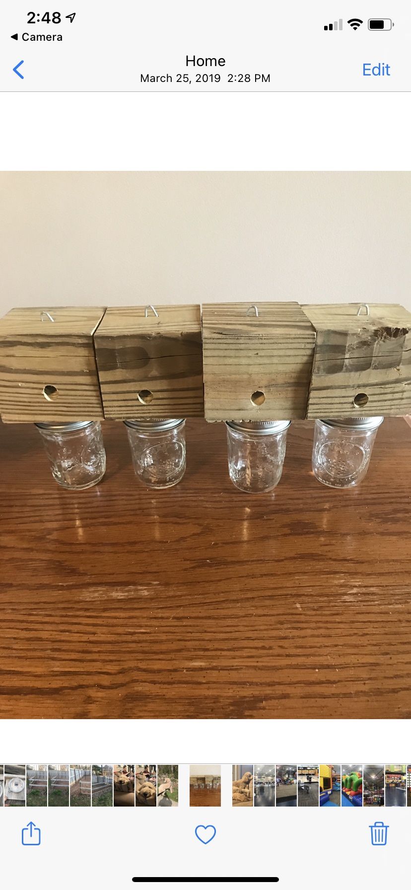 Carpenter Bee Traps