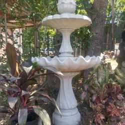 Seashell Fountain