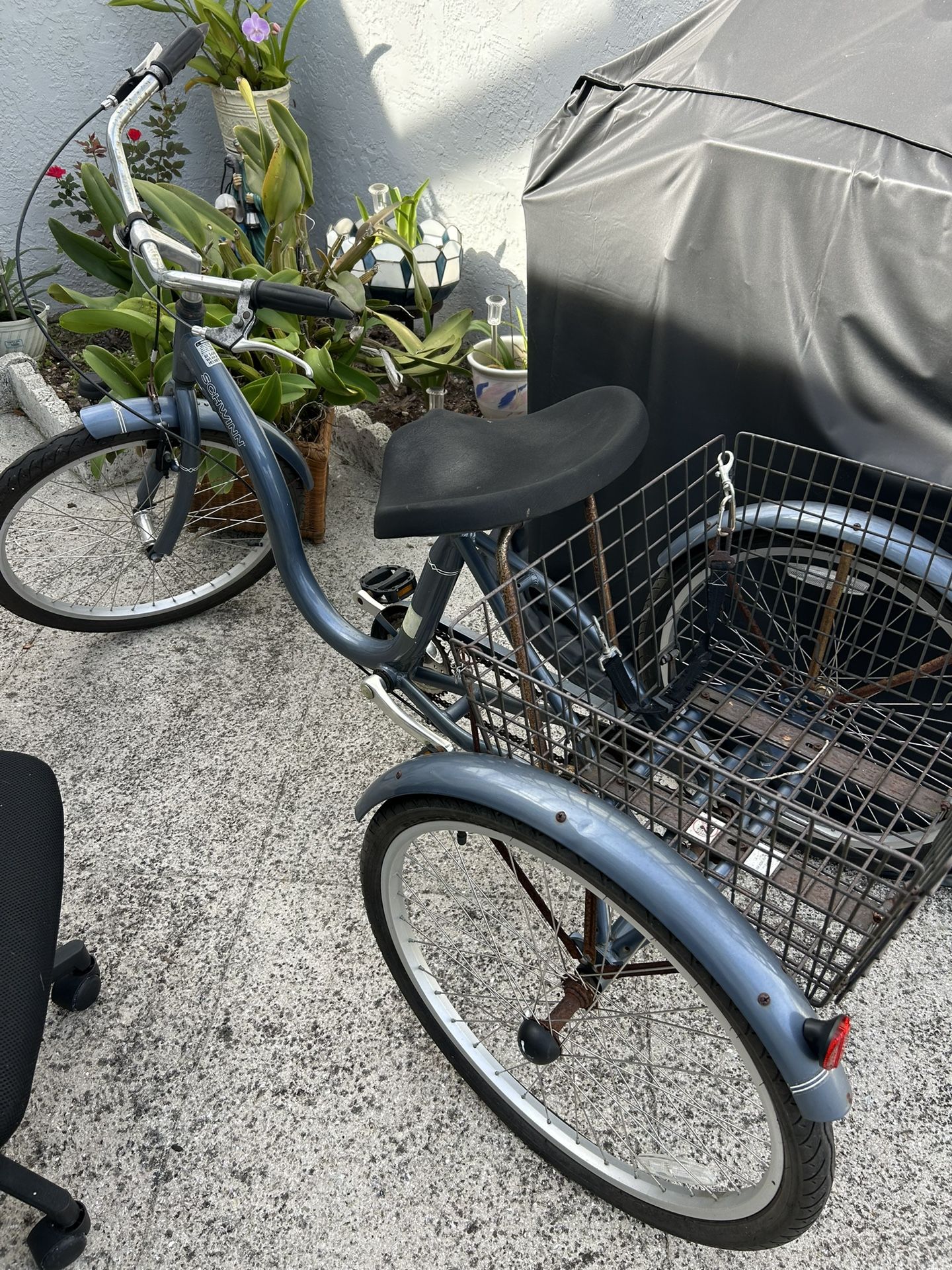 Shwinn 3wheel Bike W/large Basket-$175.00