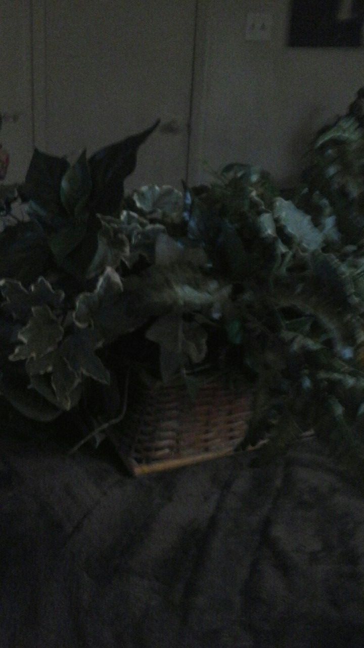 Medium fake plant