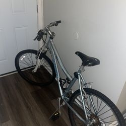 Large Schwinn Bike