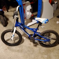 Schwinn Kids Bicycle
