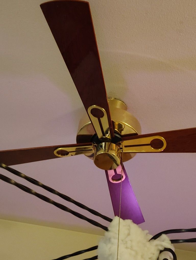 Free Ceiling Fan Today Only