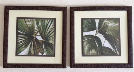 La Palmera (2) Palm Wall Decor Pictures Art 20.5” x 20.5”
