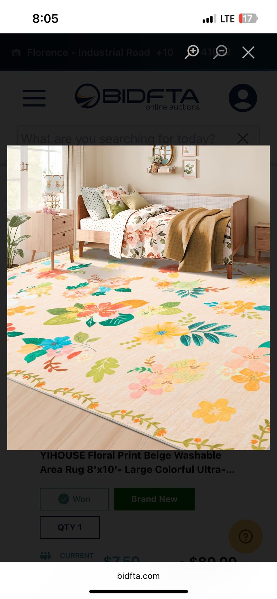 8x10 Floral Rug