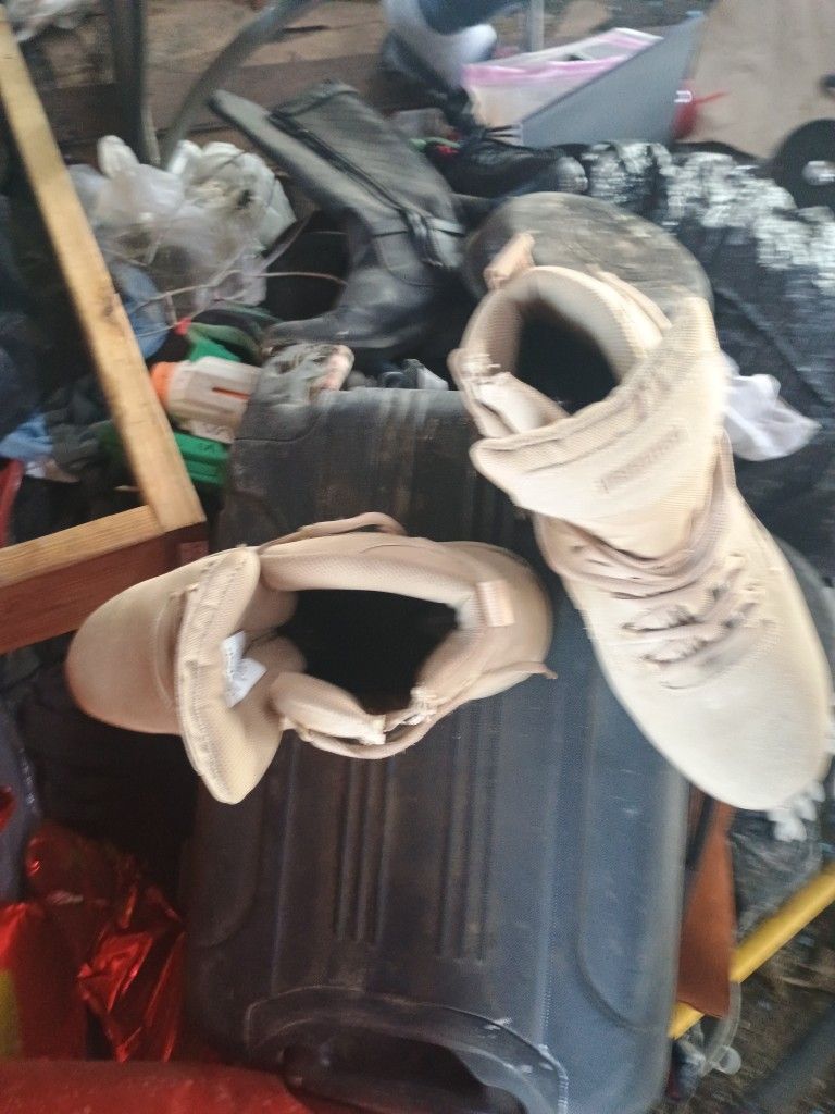 Size Man's 13