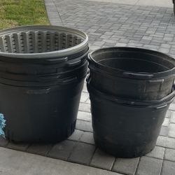 Large Plant Pots 