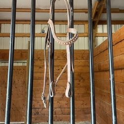 Horse Bridle 