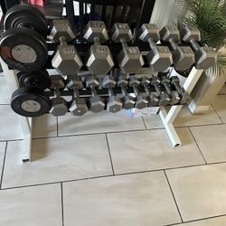 Dumbbells weights 8-50lbs plus rack 466lbs total