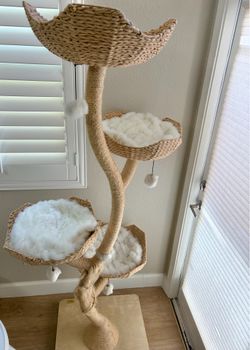 Cat Tree Mau