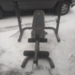 Gold's Gym