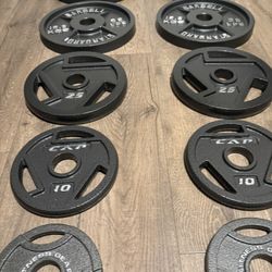 BRAND NEW Full Set Of Cast Iron Weight Plates  from 5s to 45s [Total: 245 lbs] 