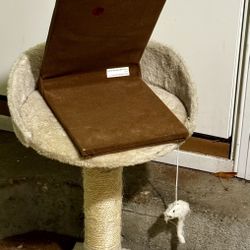 Cat Toy