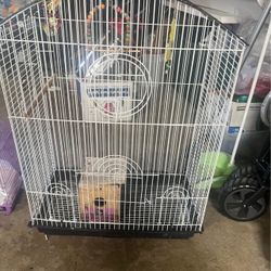 Bird Cage