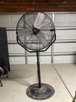 Big Fan