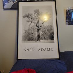 Ansel Adam's Framed Print 