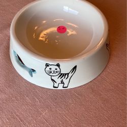 Cat Bowl