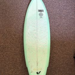 Fish Surfboard 6ft