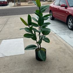 4.5 Ft Faux Rubber plant 