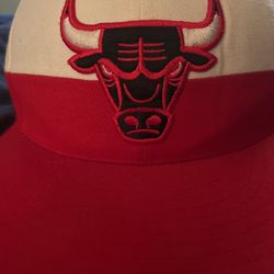 Chicago Bulls Fitted Hat
